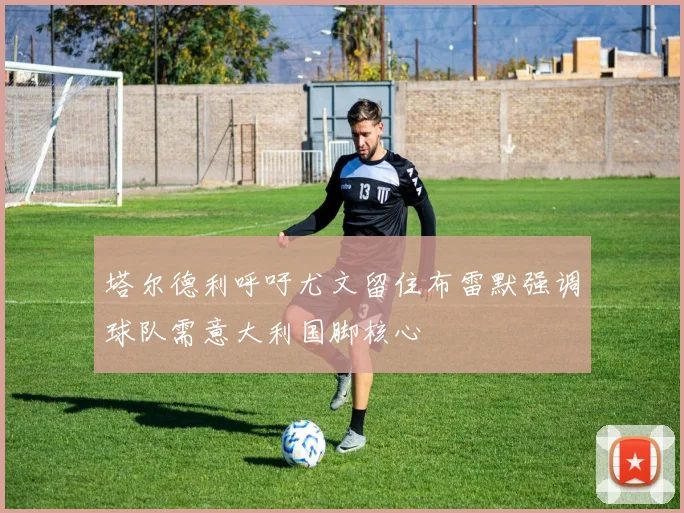 塔尔德利呼吁尤文留住布雷默强调球队需意大利国脚核心
