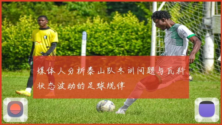 媒体人分析泰山队冬训问题与瓦科状态波动的足球规律