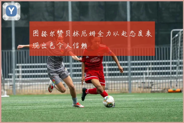 图赫尔赞贝林厄姆全力以赴态度表现出色令人信赖